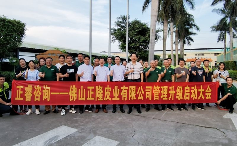 助力皮革行業(yè)再樹標桿——正隆皮業(yè)全面管理升級項目啟動！