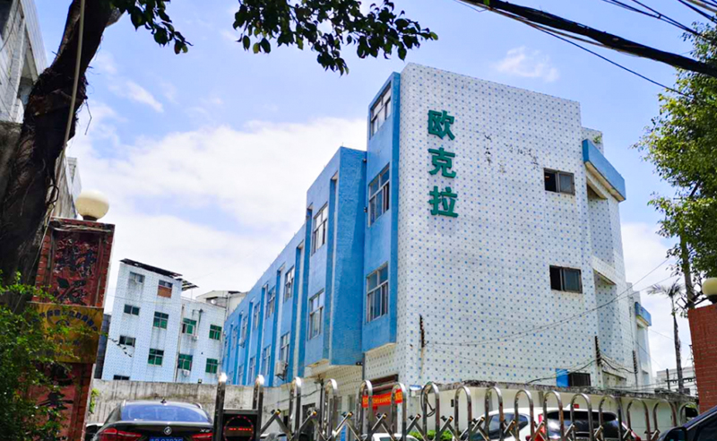 2021年東莞市歐克拉電子科技有限公司全面升級管理項目圓滿成功！