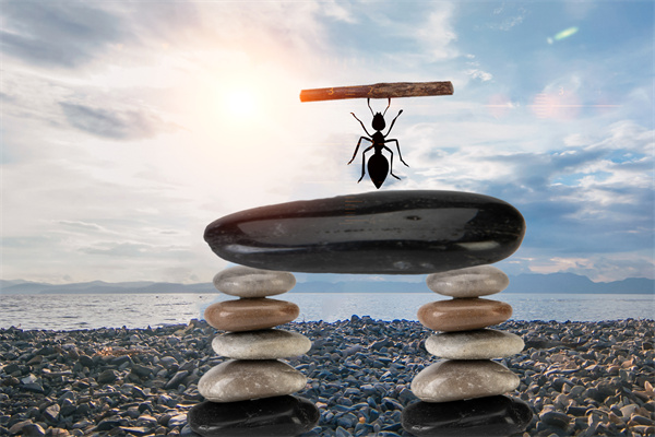 企業(yè)文化要落地 企業(yè)文化要落地