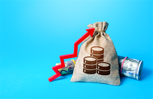 「預(yù)算管理咨詢」如何在不同階段制定不同的預(yù)算計(jì)劃？