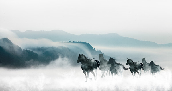 企業(yè)戰(zhàn)略規(guī)劃：為企業(yè)制定全面、長(zhǎng)遠(yuǎn)的發(fā)展戰(zhàn)略