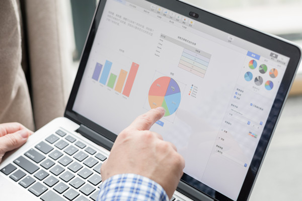 預(yù)算控制咨詢：協(xié)助企業(yè)建立控制體系，確保預(yù)算執(zhí)行