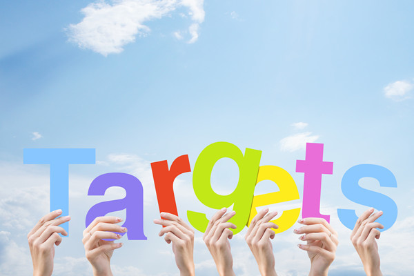 構(gòu)建科學(xué)績效管理體系，提升組織整體績效水平