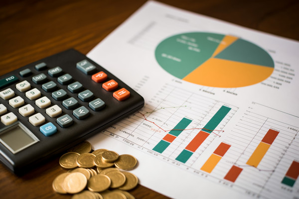 強(qiáng)化集團(tuán)管控：財(cái)務(wù)，人力資源，信息技術(shù)的整合