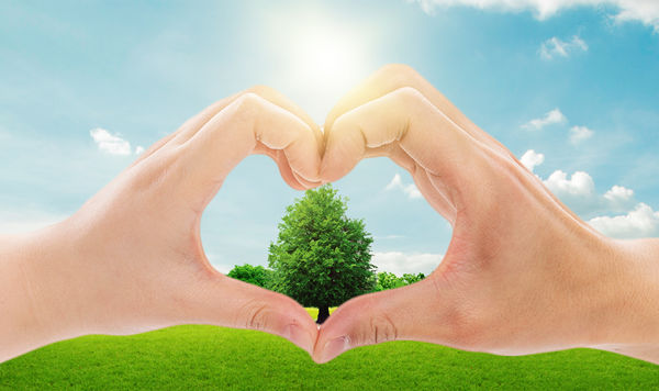 年度可持續(xù)發(fā)展計(jì)劃：綠色發(fā)展，共享價(jià)值