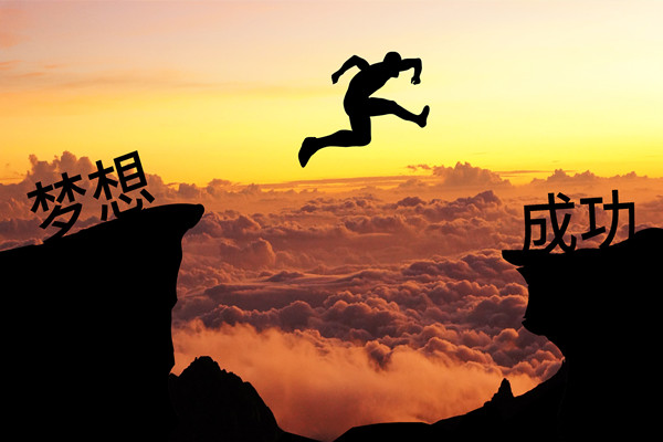 績效管理：應(yīng)對變革挑戰(zhàn)，推動組織變革成功