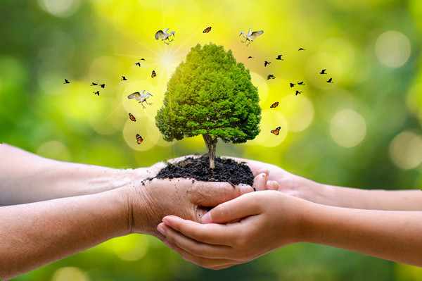 塑造未來領(lǐng)導(dǎo)者:從領(lǐng)導(dǎo)力培養(yǎng)到企業(yè)可持續(xù)發(fā)展 塑造未來領(lǐng)導(dǎo)者:從領(lǐng)導(dǎo)力培養(yǎng)到企業(yè)可持續(xù)發(fā)展