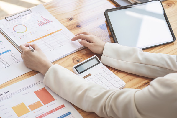 年度風(fēng)險防控計劃：風(fēng)險防范，穩(wěn)健前行