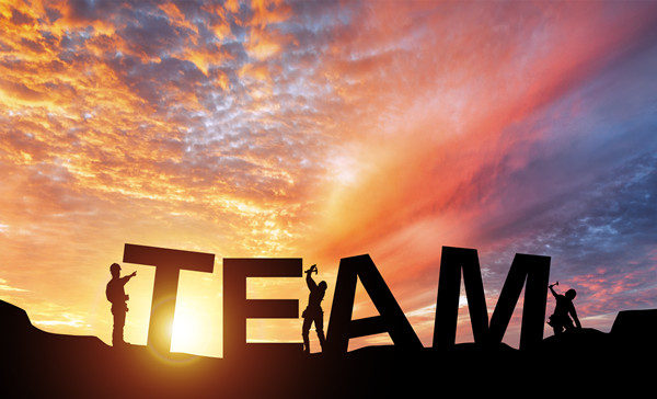 組織規(guī)劃管理：構(gòu)建高效團(tuán)隊(duì)，引領(lǐng)企業(yè)穩(wěn)健發(fā)展