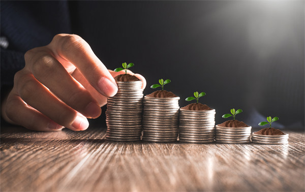 從集團(tuán)管控到企業(yè)成長(zhǎng):培育可持續(xù)發(fā)展的競(jìng)爭(zhēng)優(yōu)勢(shì) 從集團(tuán)管控到企業(yè)成長(zhǎng):培育可持續(xù)發(fā)展的競(jìng)爭(zhēng)優(yōu)勢(shì)