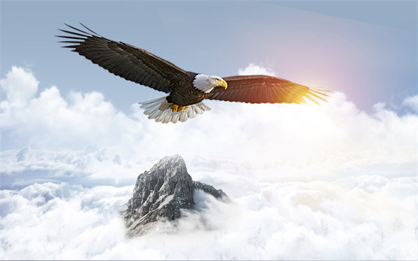 組織規(guī)劃引領(lǐng)企業(yè)變革，塑造全新管理模式與未來(lái)