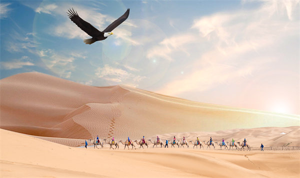 集團(tuán)管控升級迭代，激發(fā)企業(yè)活力，實現(xiàn)持續(xù)領(lǐng)先