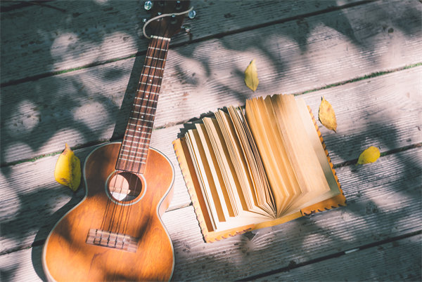 促銷策略：激發(fā)消費(fèi)者購(gòu)買欲望，促進(jìn)銷售增長(zhǎng)