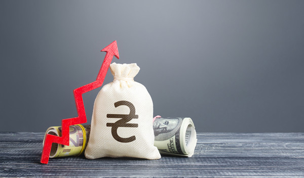 預算管理中的風險評估與應對策略有哪些？