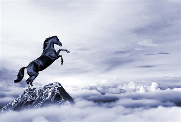 深度整合企業(yè)戰(zhàn)略資源，構建高效運營管理體系