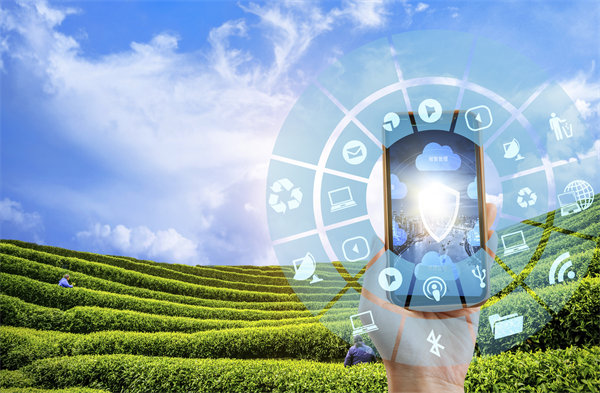 在精益轉(zhuǎn)型中，如何平衡標(biāo)準(zhǔn)化作業(yè)與靈活性需求？