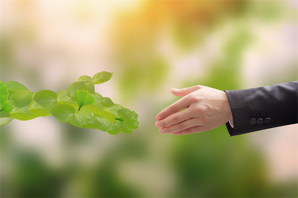 可持續(xù)發(fā)展成為趨勢，企業(yè)如何融入綠色戰(zhàn)略以促增長？