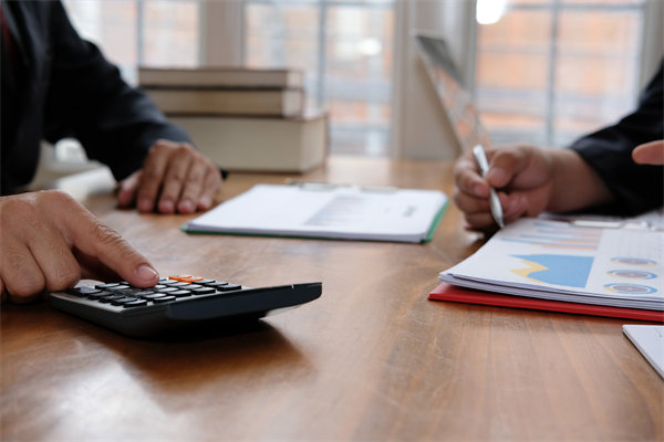 預(yù)算管理系統(tǒng)中，如何平衡自動(dòng)化與人工審核的利弊？