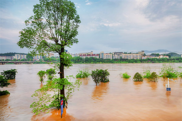 供應(yīng)鏈韌性建設(shè)：面對自然災(zāi)害的應(yīng)急計(jì)劃與恢復(fù)力？