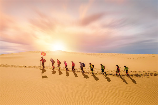 組織需要擴大規(guī)模時，如何確保資源有效整合與配置？