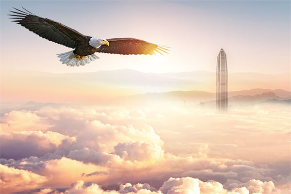 企業(yè)文化與企業(yè)管理如何協(xié)同，推動企業(yè)持續(xù)發(fā)展？