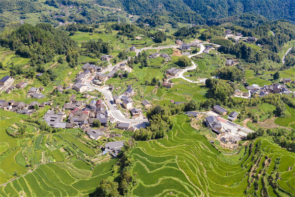 麗水人力資源咨詢公司如何優(yōu)化企業(yè)人才布局？