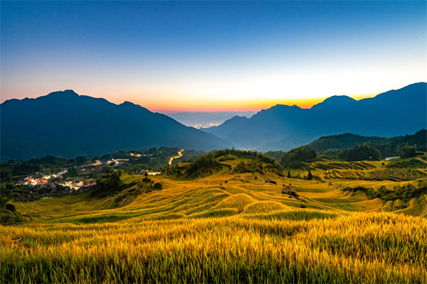 麗水組織規(guī)劃咨詢公司如何為企業(yè)構(gòu)建高效組織架構(gòu)？