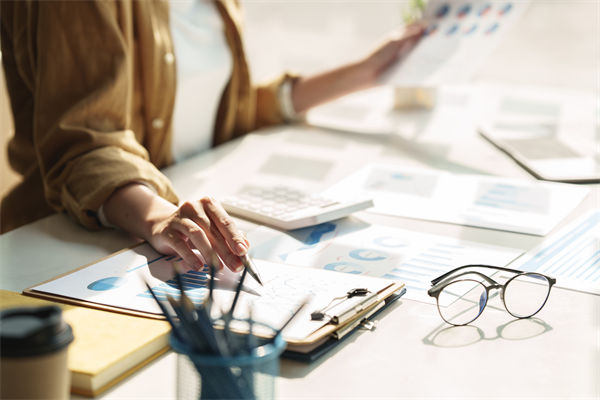 在預(yù)算執(zhí)行中，如何確保監(jiān)控與調(diào)整機(jī)制的有效性？