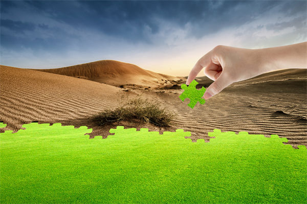 企業(yè)深陷困境，管理咨詢(xún)?nèi)绾我岳做侄未蚱瓢l(fā)展僵局？