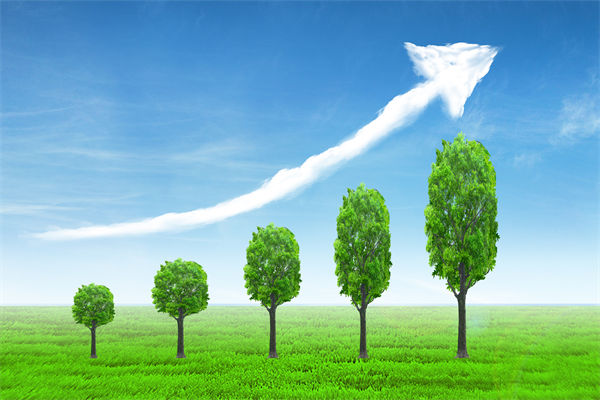 植樹就是植未來，對企業(yè)的戰(zhàn)略規(guī)劃有哪些啟示？