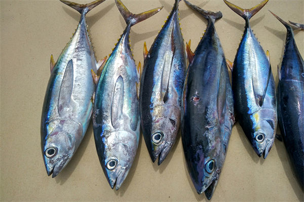 商務(wù)部：將幫助外貿(mào)企業(yè)擴(kuò)寬內(nèi)銷渠道，政策解讀！