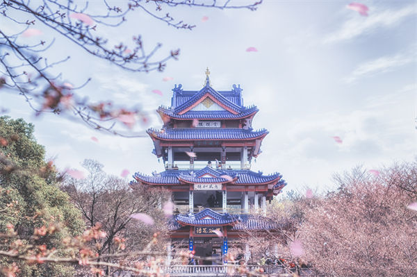 供應(yīng)鏈成本居高不下，無錫供應(yīng)鏈咨詢公司如何精準(zhǔn)砍出利潤空間？