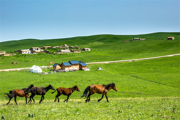 飛新疆的機(jī)票價格漲爆了，什么情況？是營銷炒作？