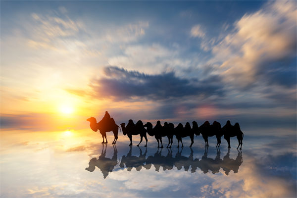 戰(zhàn)略與文化脫節(jié)，企業(yè)理念如何落地支撐發(fā)展？