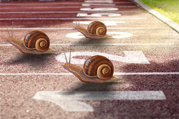 新業(yè)務(wù)拓展艱難，年度經(jīng)營計劃為其定制專屬發(fā)展路徑