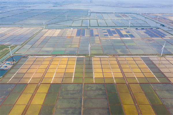 濰坊制造業(yè)招工難留人更難，濰坊人力資源咨詢公司如何破局用工困局？