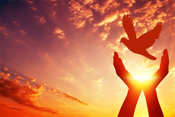 別讓盲卡盲盒“收割”孩子，關(guān)聯(lián)企業(yè)戰(zhàn)略怎么看？