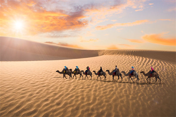 企業(yè)文化管理失效？這三大認知誤區(qū)為何拖垮團隊？