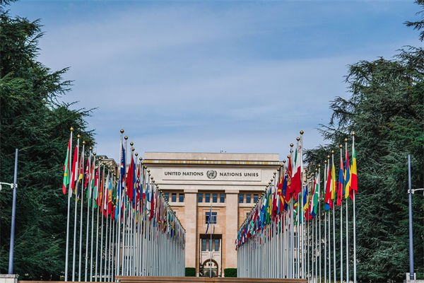 英法等25國發(fā)表聯(lián)合聲明，企業(yè)組織規(guī)劃有何啟示？