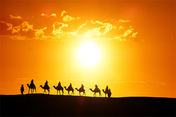 高層標榜的企業(yè)文化，如何穿透形式真正落地生根？