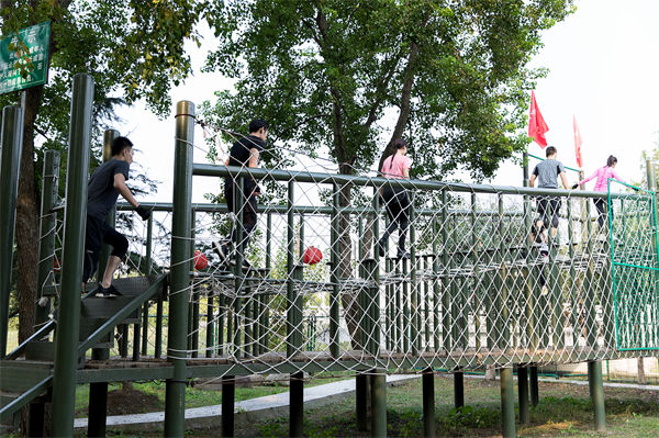 文化活動形式豐富多樣，組織凝聚力提升為何緩慢？