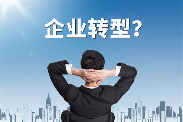 企業(yè)轉(zhuǎn)型無方向，數(shù)智化咨詢公司能否指引明路？