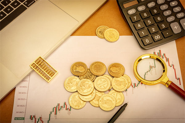 企業(yè)預算管理分析：數(shù)千元滑雪裝備一公司報關(guān)幾百元