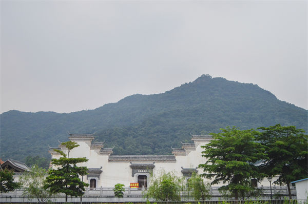 子公司各自為戰(zhàn)內(nèi)耗大，佛山集團(tuán)管控咨詢(xún)公司有何整合之道？