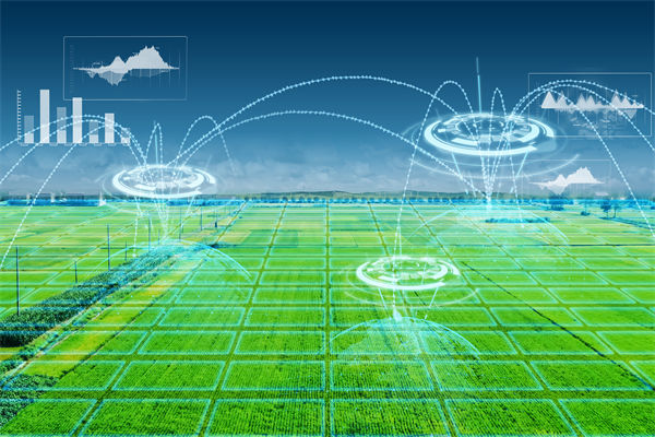 溫州種出2.1米高巨型水稻，精益生產(chǎn)怎么看？