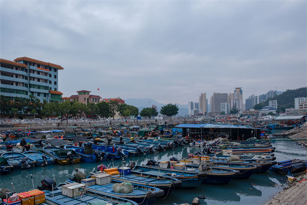 精益生產(chǎn)分析：開海第一網(wǎng)撈8000斤，船長合不攏嘴