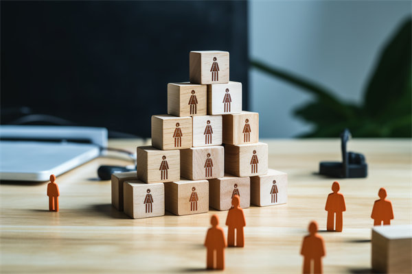 人力資源咨詢公司哪家好，適配企業(yè)戰(zhàn)略搭人才梯隊(duì)的